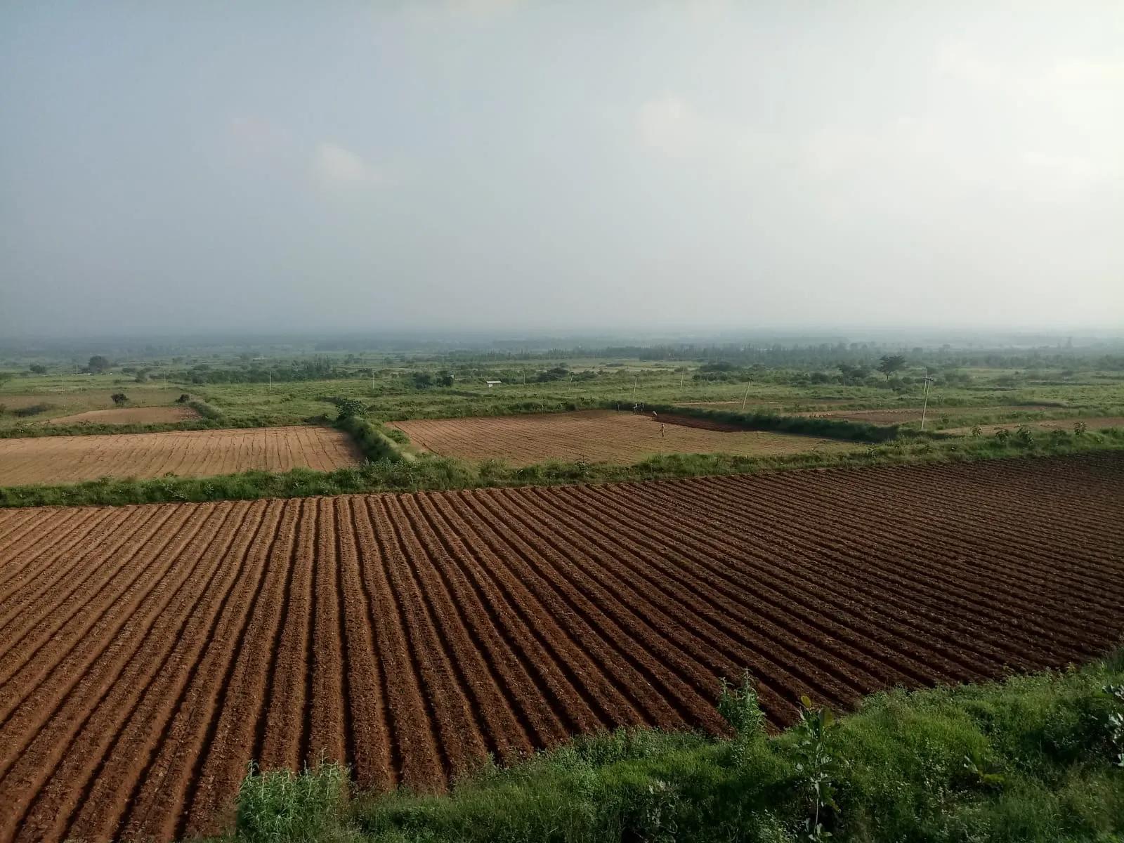 Agricultural Farm Lands